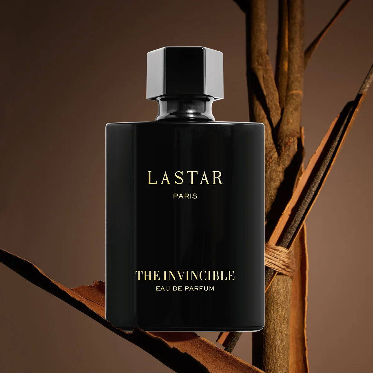 Lastar Mens Eau de Toilette Sandalwood Musk 50ml Fragrance
